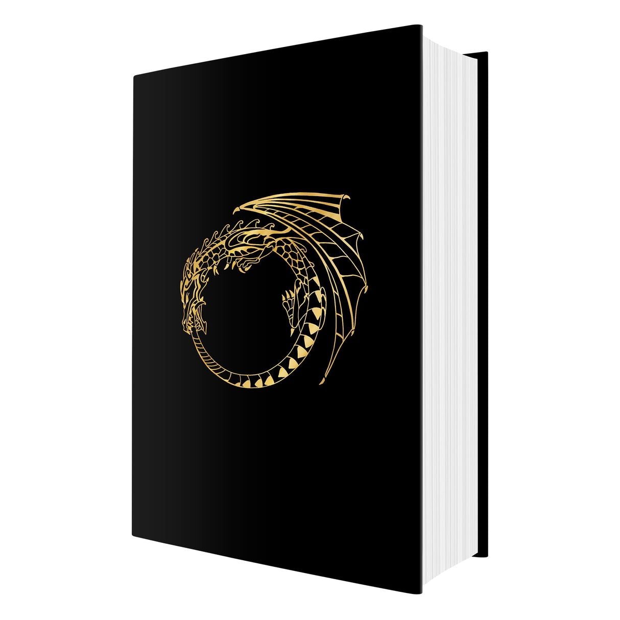 Alchemised: The 2025 debut novel phenomenon everyone is talking about and no one can put down - Retail Maharaj