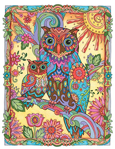 SARNAT-CREATIVE HAVEN OWLS CB - Retail Maharaj