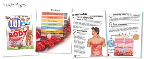 Hello Friend 101 Facts Human Body - Retail Maharaj