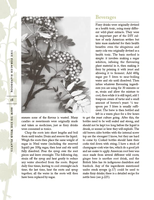 The Forager Handbook: A Guide to the Edible Plants of Britain - Retail Maharaj