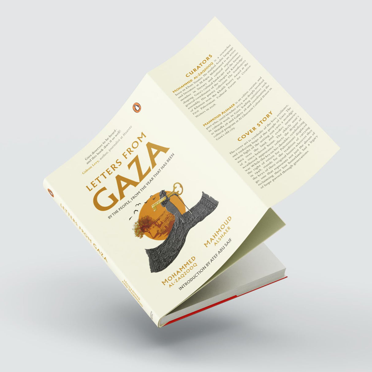 Letters from Gaza - Retail Maharaj