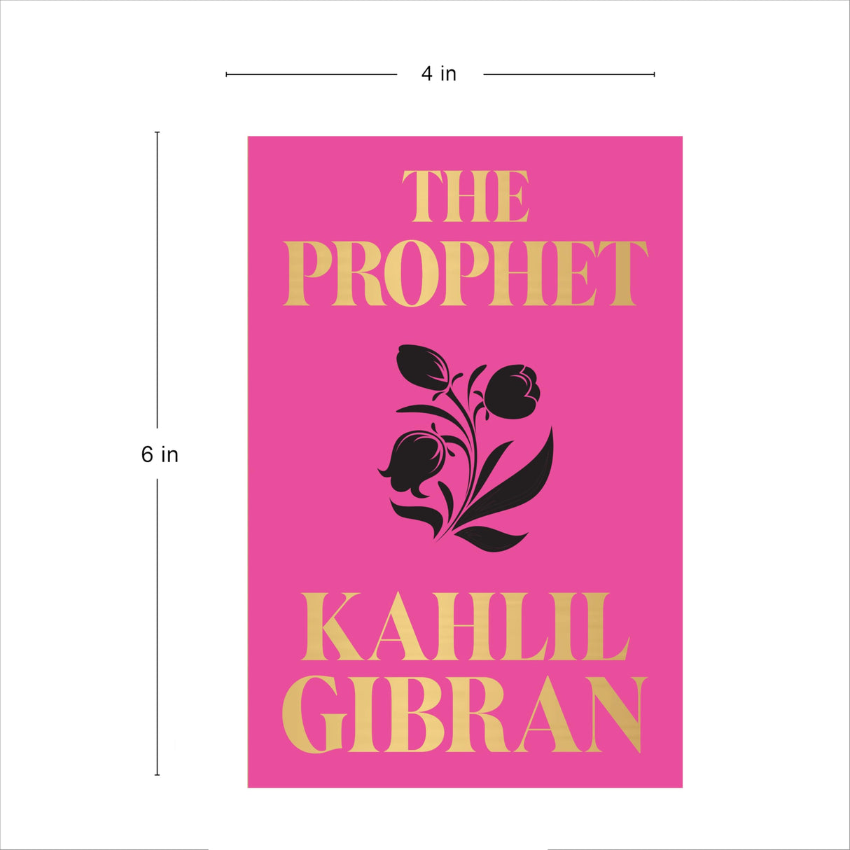 The Prophet (Pocket Classic) - Retail Maharaj
