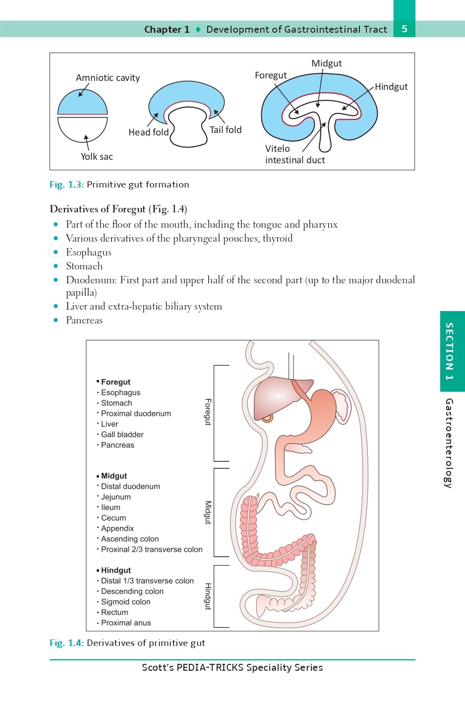Scott's Pediatricks Specialty Series Concise Pediatric Gastroenterology and Hepatology - Retail Maharaj