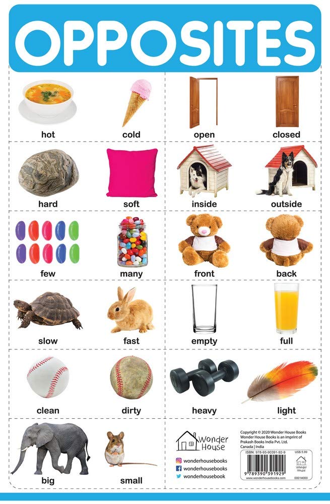 Opposites - My First Early Learning Wall Chart: For Preschool, Kindergarten, Nursery And Homeschooling (19 Inches X 29 Inches) - Retail Maharaj