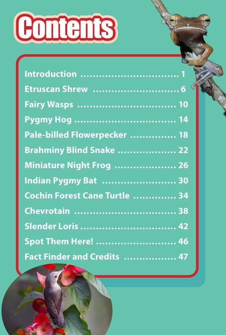 INDIA’S TINIEST ANIMALS : Wild About India - Engaging Book for Kids (Ages 5-15) - Fun Facts, Trivia Questions and Answers to Teach Your Children about the Animal Kingdom - Retail Maharaj