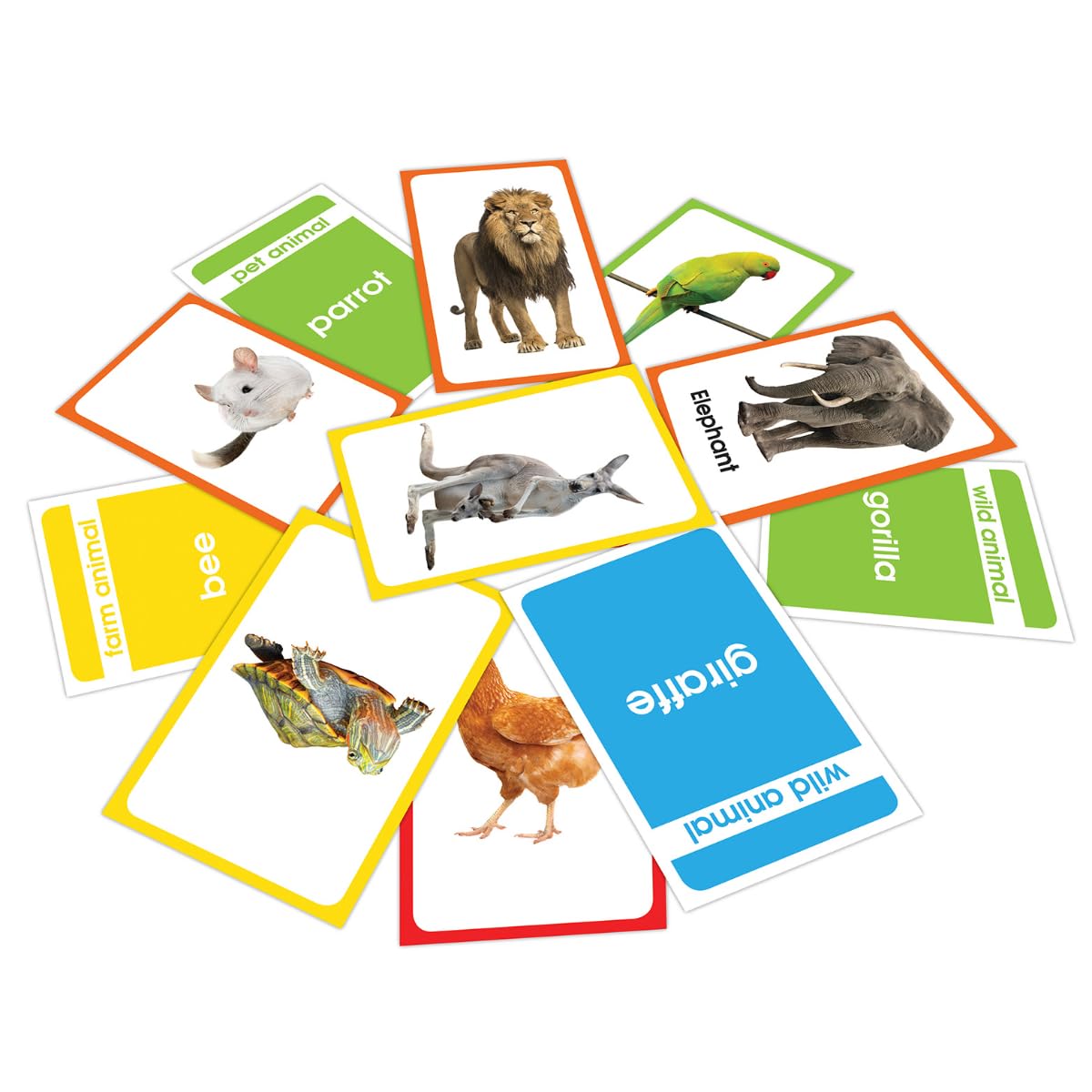 Wonder House Amazing Flash Cards Animals: Early Development Of Preschool Toddler (55 Cards),Creative_Thinking - Retail Maharaj