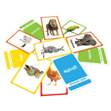 Wonder House Amazing Flash Cards Animals: Early Development Of Preschool Toddler (55 Cards),Creative_Thinking - Retail Maharaj