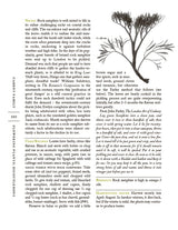 The Forager Handbook: A Guide to the Edible Plants of Britain - Retail Maharaj