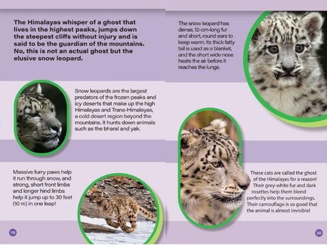 INDIA’S COOLEST CATS : Wild About India - Engaging Book for Kids (Ages 5-15) - Fun Facts, Trivia Questions and Answers to Teach Your Children about the Animal Kingdom - Retail Maharaj
