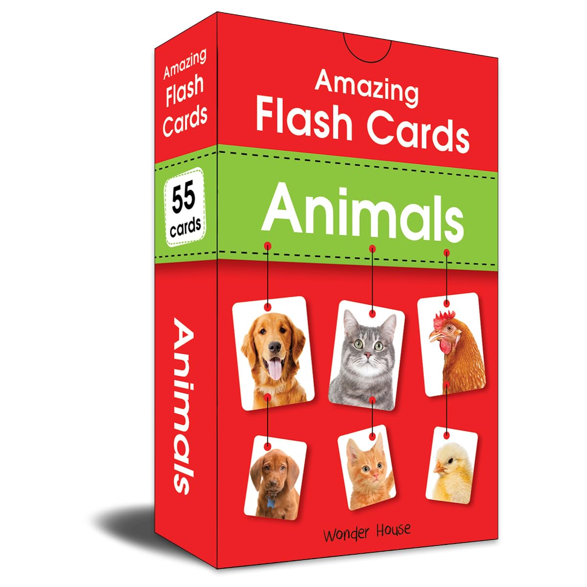 Wonder House Amazing Flash Cards Animals: Early Development Of Preschool Toddler (55 Cards),Creative_Thinking - Retail Maharaj