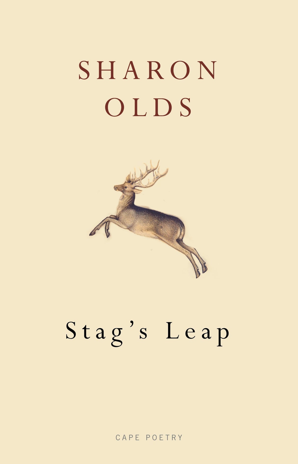 Stag's Leap - Retail Maharaj