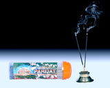 Parijat 9" Stick | Plastic Container