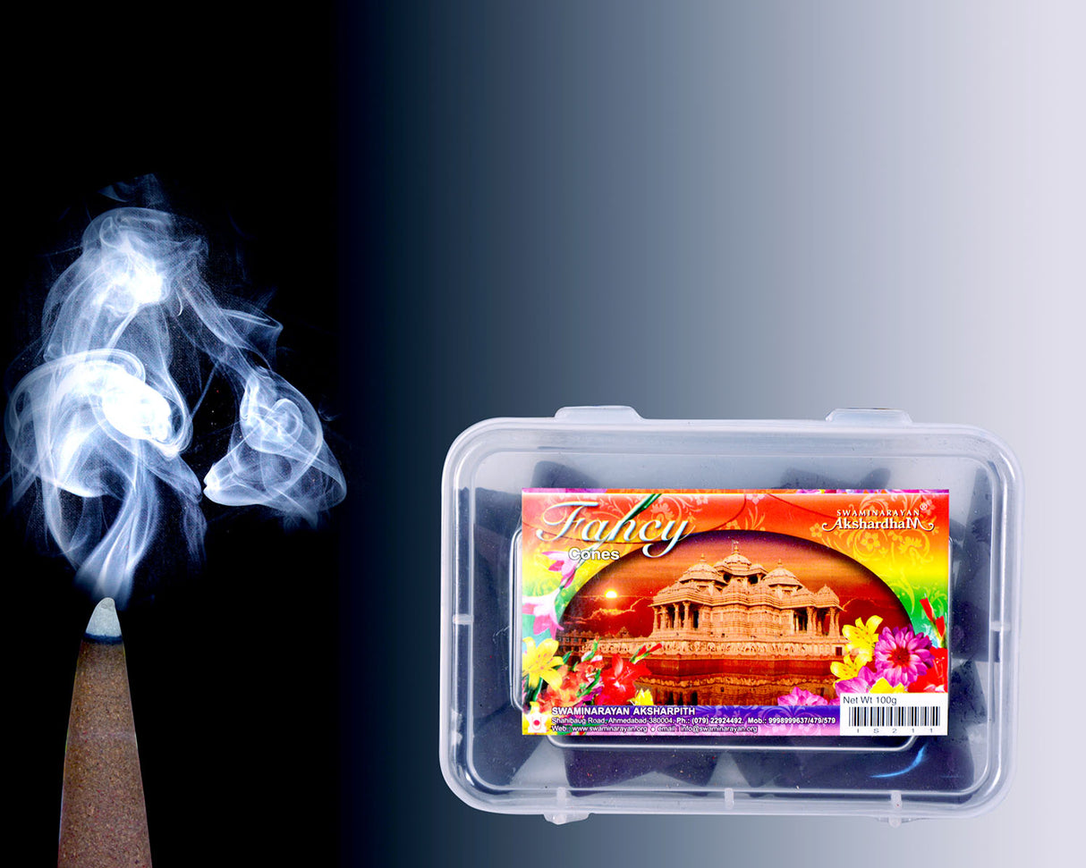 Fancy Cones 2" Cone | Plastic Container - Retail Maharaj