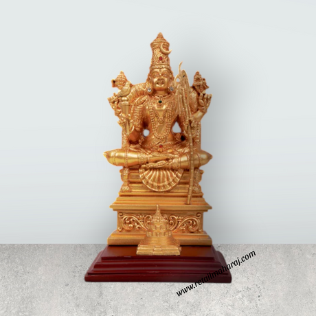 Kamatchi Amman Statue - 8 x 4.5 Inches | Kamatchi Amman Silai/ Kamakshi Idol for Pooja - Retail Maharaj