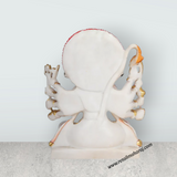 Panchamukhi Hanuman Sitting On Base Murti - 12 x 9 Inches | Marble Statue / Anjaneyar Sculpture For Home Decor