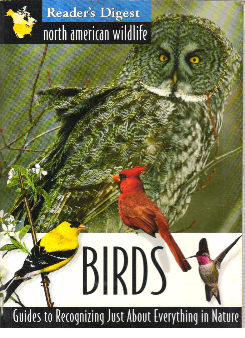 North American Wildlife Birds - Retail Maharaj