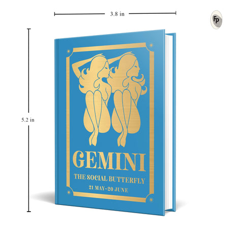 Gemini: The Social Butterfly - Retail Maharaj