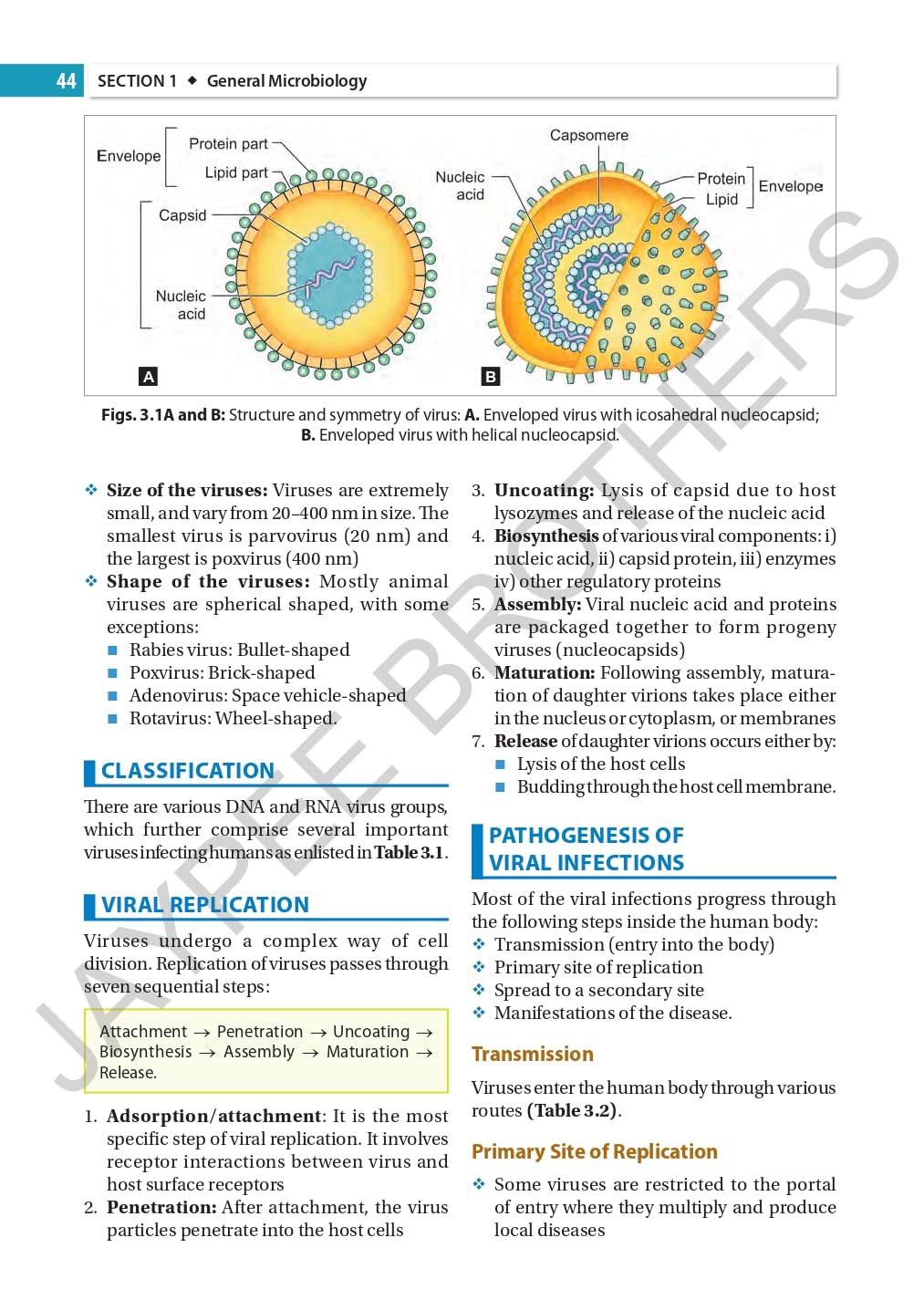 Essentials of Applied Microbiology for Nurses (Including Infection Control and Safety) - Retail Maharaj