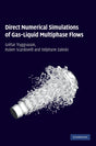Direct Numerical Simulations of Gas?Liquid Multiphase Flows - Retail Maharaj