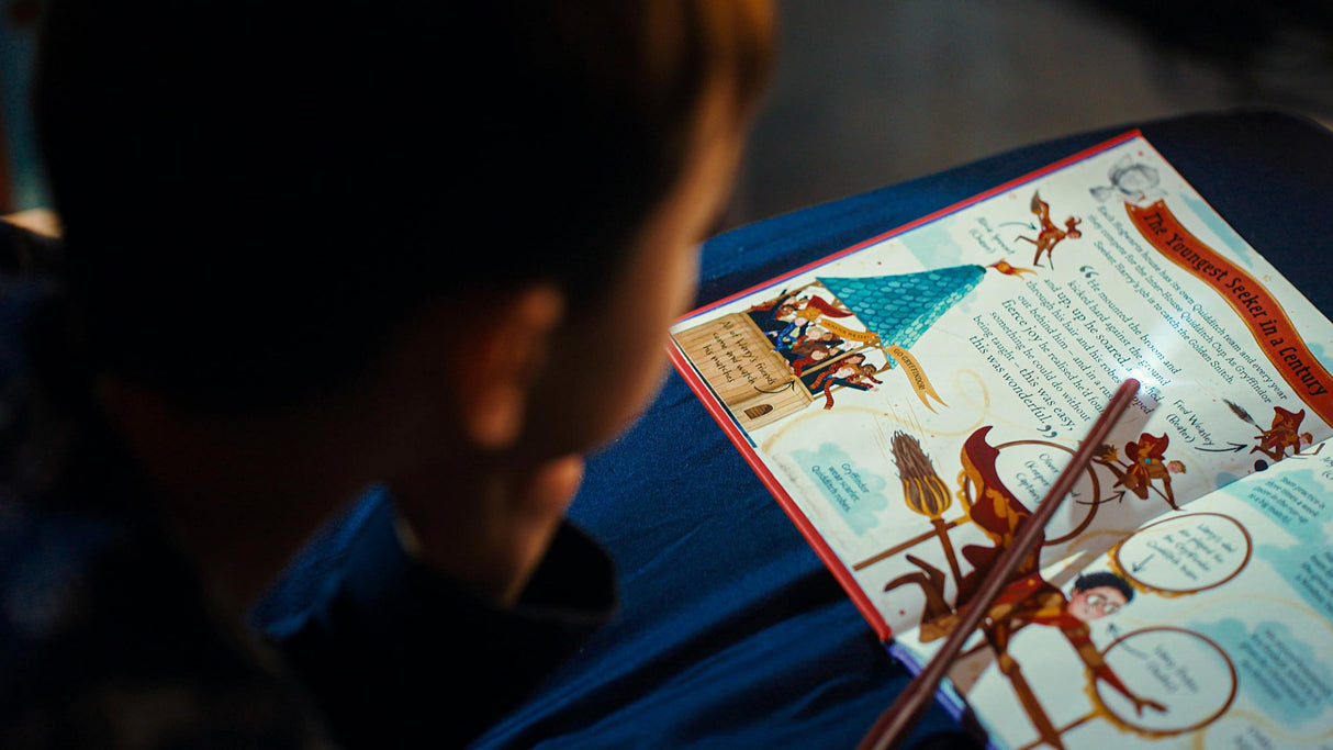 Harry Potter: The must-have Christmas stocking filler for Potter fans! (Pocket Potters – Little Guides to the HARRY POTTER Stories) - Retail Maharaj