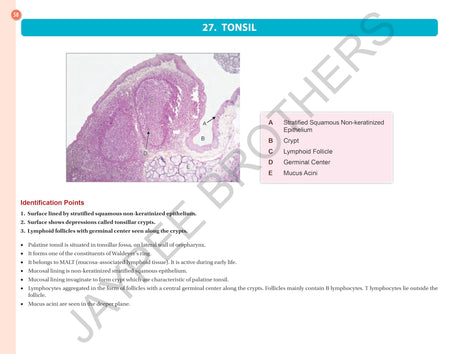 HISTOLOGY PRACTICAL MANUAL - Retail Maharaj