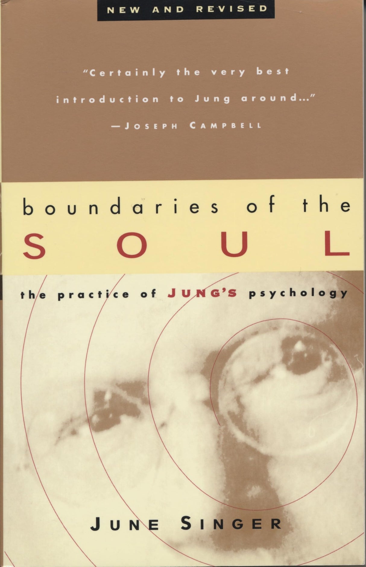 Boundaries of the Soul: The Practice of Jung's Psychology - Retail Maharaj