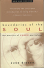Boundaries of the Soul: The Practice of Jung's Psychology - Retail Maharaj