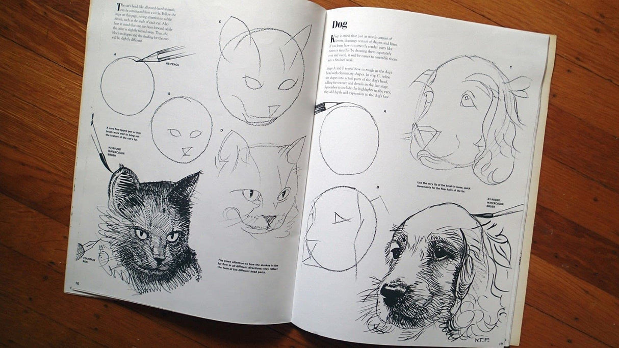 Drawing: How to Draw 2 (How to Draw & Paint/Art Instruction Prog) - Retail Maharaj