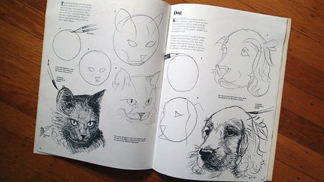 Drawing: How to Draw 2 (How to Draw & Paint/Art Instruction Prog) - Retail Maharaj