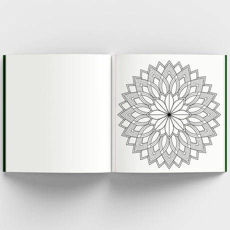 Adult Coloring Book: Meditative Mandalas for Relaxation & Stress Relief | A Mindfulness & Therapy Guide for Adults to Unwind & Boost Creativity: Adult ... Unwind & Boost Creativity [Select Learning] - Retail Maharaj