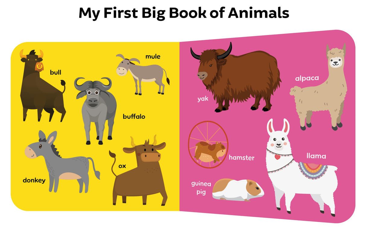 My First Big Book Boxset-Volume 2 (5 Books): A Pizza Box of 5 Large Font Illustrated Board Books on Animals, Birds, Fruits and Vegetables, Seasons, Opposites and Things at Home | Vocabulary Builder for Preschool Kids, Toddlers I Perfect Gift Set I Ages 1+ - Retail Maharaj