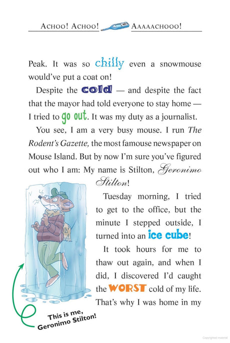 GERONIMO STILTON JOURNEY THROUGH TIME #04: LOST IN TIME - Retail Maharaj