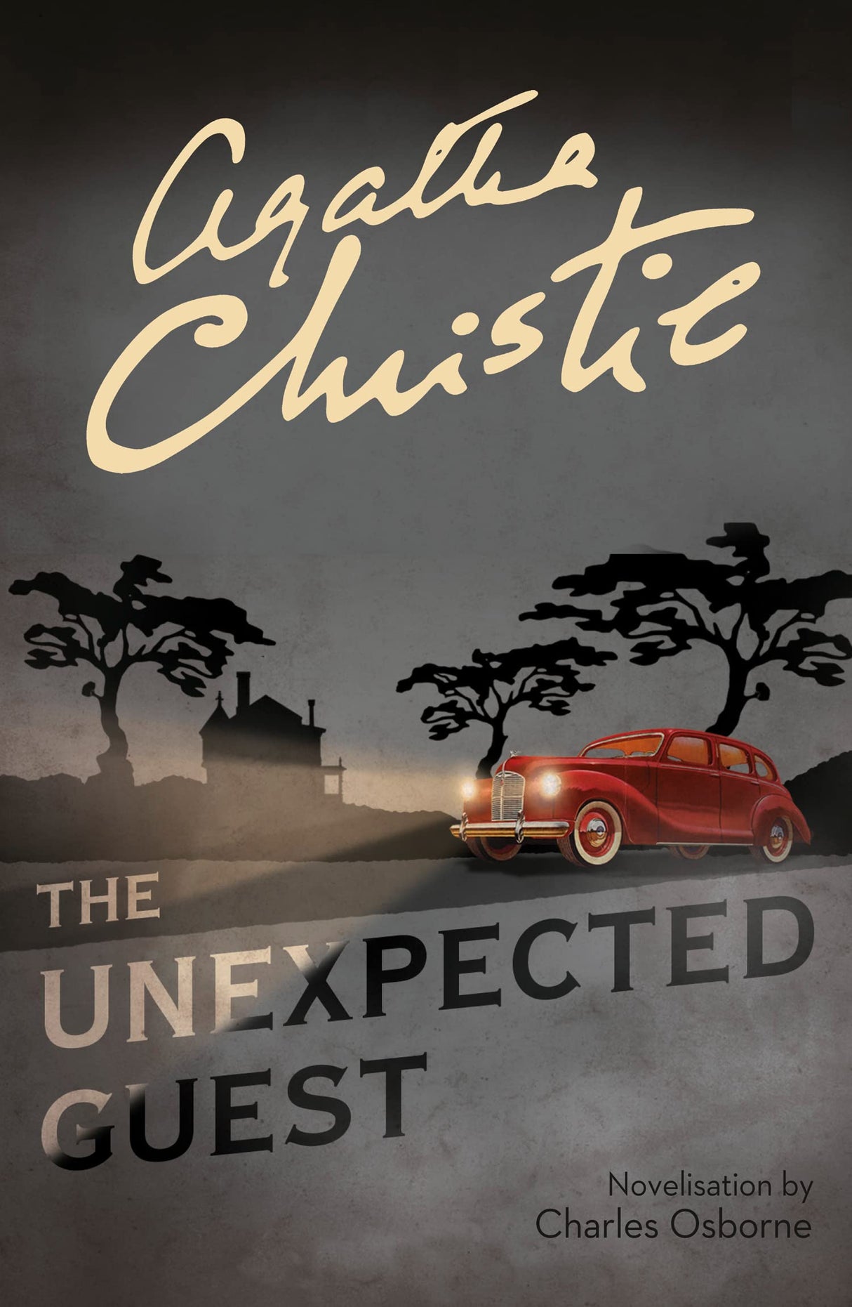 The Unexpected Guest - Retail Maharaj