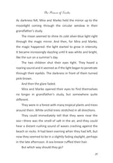 Magic Mirror #7: The Prince of Tricks - Retail Maharaj