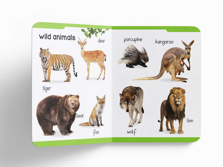 My First Padded Book of Animals: Early Learning Board Book for Kids | Learn About Wild Animals, Farm Animals, Pets & Birds with Bright Pictures | Durable Padded Board Book for Babies, Toddlers & Preschoolers | Ages 0–5 Years - Retail Maharaj