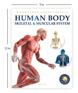 Human Body - Skeletal And Muscular System: Knowledge Encyclopedia For Children - Retail Maharaj