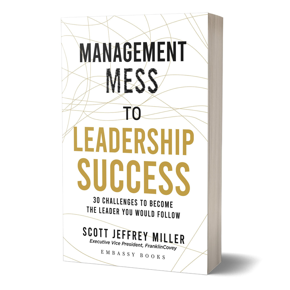 Management Mess To Leadership Success: 30 Challenges to Become the Leader You Would Follow - Retail Maharaj