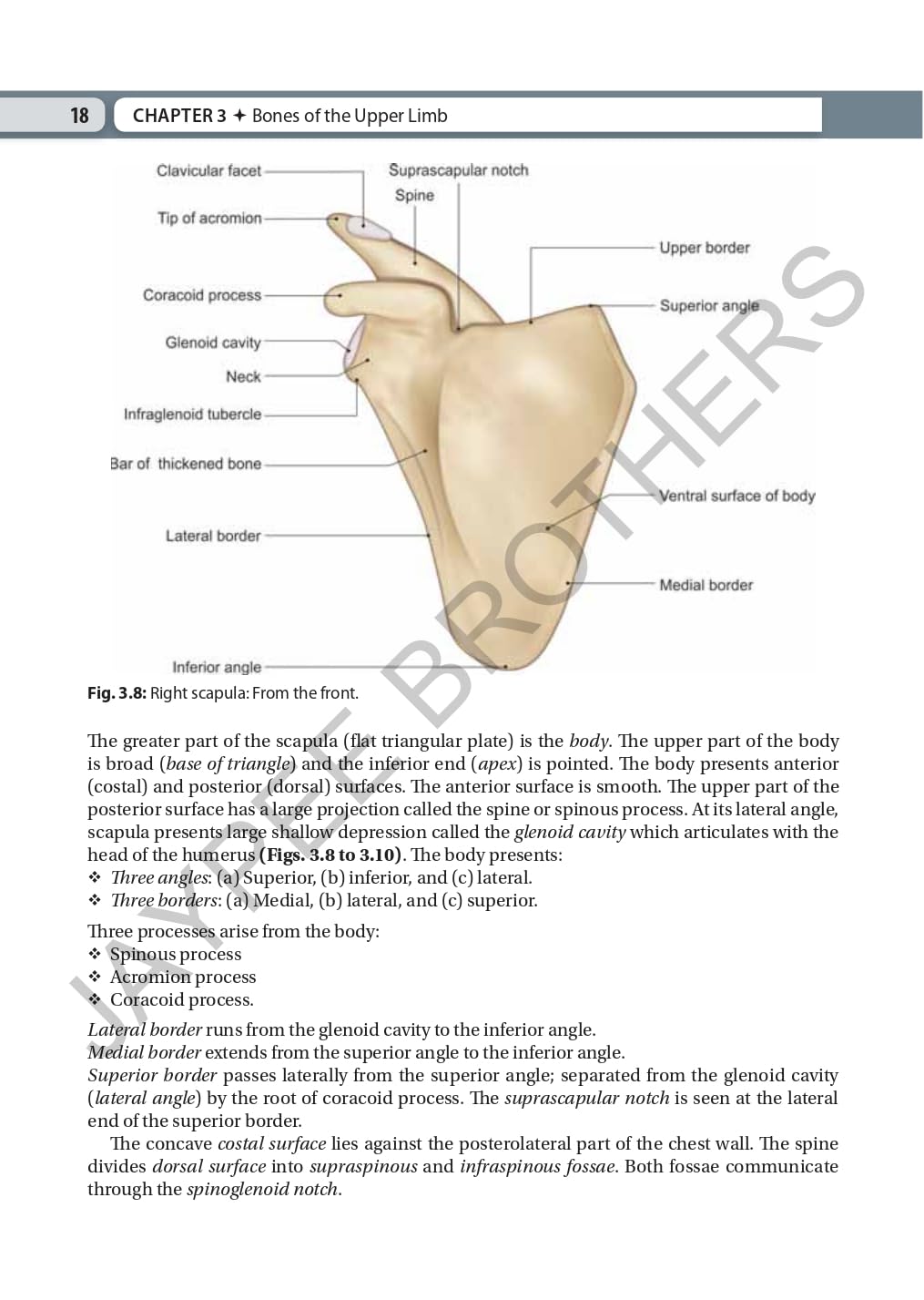 INDERBIR SINGH'S TEXTBOOK OF HUMAN OSTEOLOGY WITH ATLAS OF MUSCLE ATTACHMENTS - Retail Maharaj