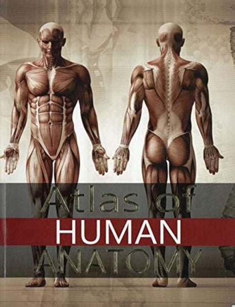 ATLAS OF HUMAN ANATOMY - Retail Maharaj