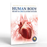 Human Body - Heart And Circulatory System: Knowledge Encyclopedia For Children - Retail Maharaj