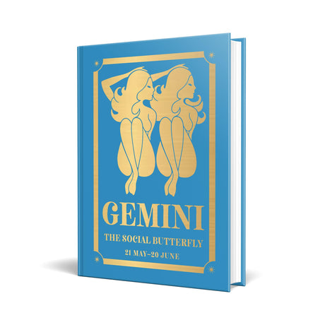 Gemini: The Social Butterfly - Retail Maharaj