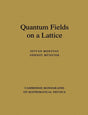 Quantum Fields on a Lattice (Cambridge Monographs on Mathematical Physics) - Retail Maharaj