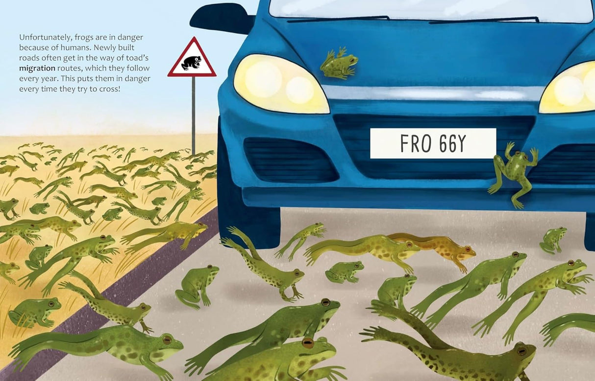 Big Questions Answered: What Can Frogs Tell Us About Our Planet? Herpetology - Retail Maharaj