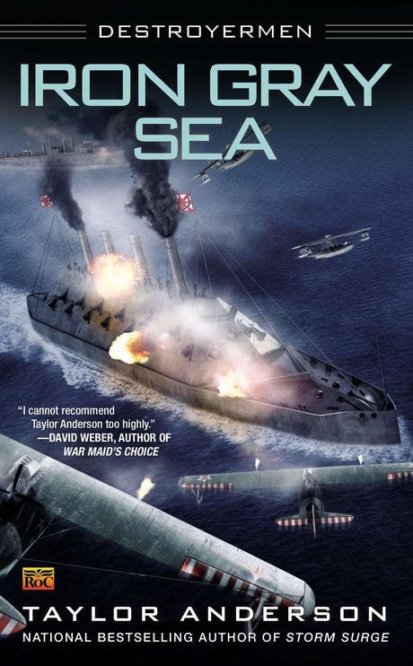 Iron Gray Sea: Destroyermen: 7 - Retail Maharaj