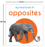 My First Book of Opposites | First Concept Board Book for Babies, Toddlers & Preschoolers | Learn Big–Small, Hot–Cold & More with Bright Pictures | Early Learning Book for Kids Ages 0-3 Years - Retail Maharaj