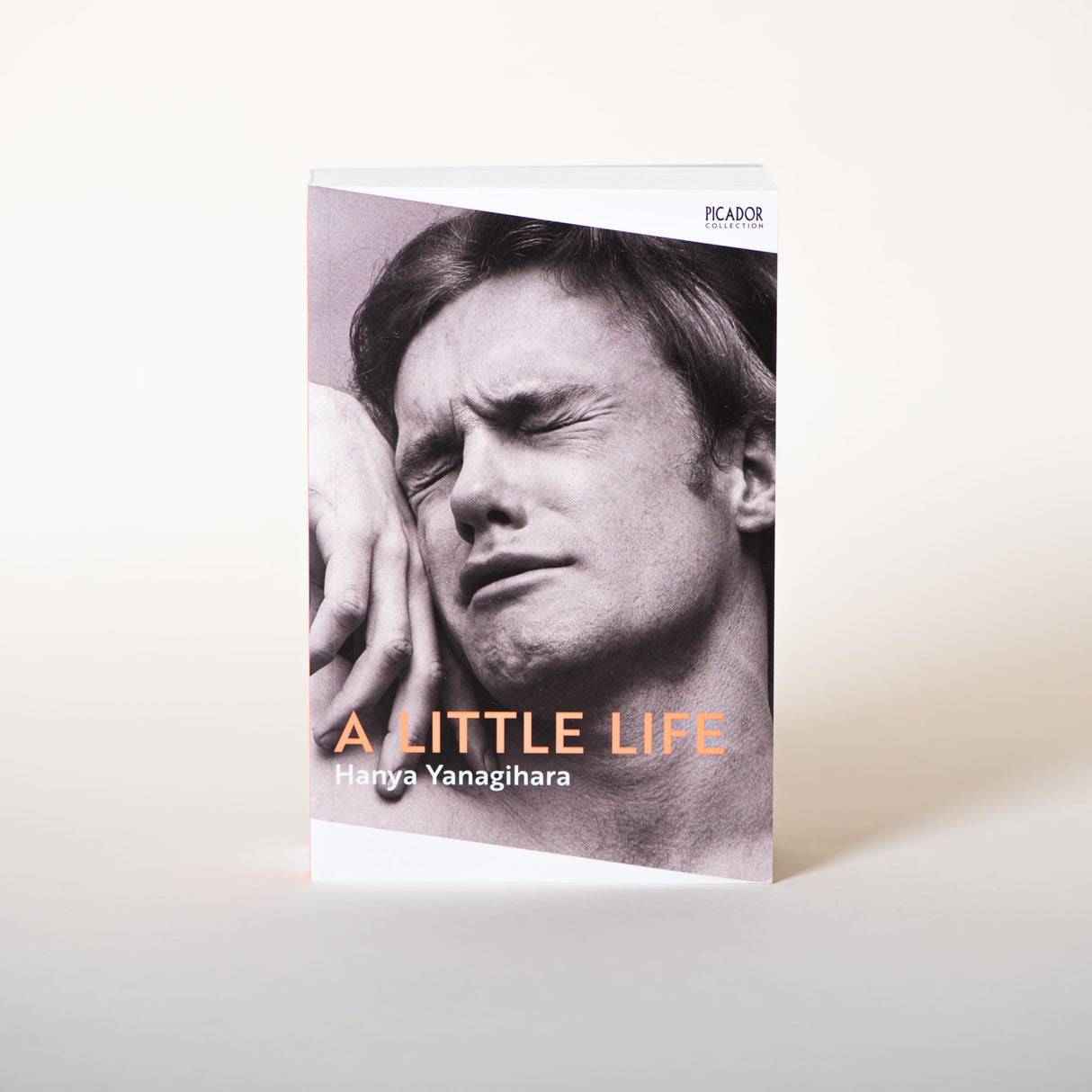 A Little Life - Retail Maharaj
