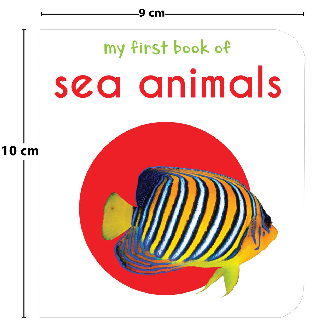 My First Library Pack 2: Boxset of 10 Board Books for Kids (Pack 2) | Includes Baby Objects, Baby Animals, Opposites, People at Work, Flowers, Food, Sea Animals, Things at Home, About Me & Toys | Early Learning Board Books for Babies, Toddlers & Preschool - Retail Maharaj