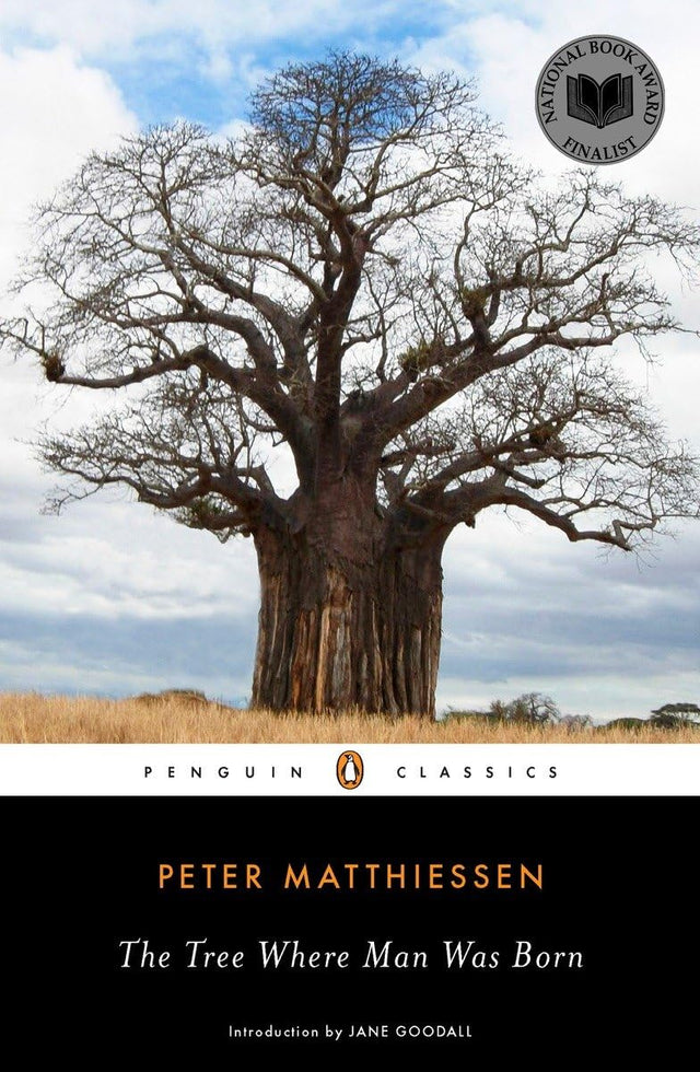 The Tree Where Man Was Born - Retail Maharaj