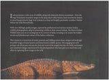 THE BEST OF INDIAN WILDLIFE - Retail Maharaj