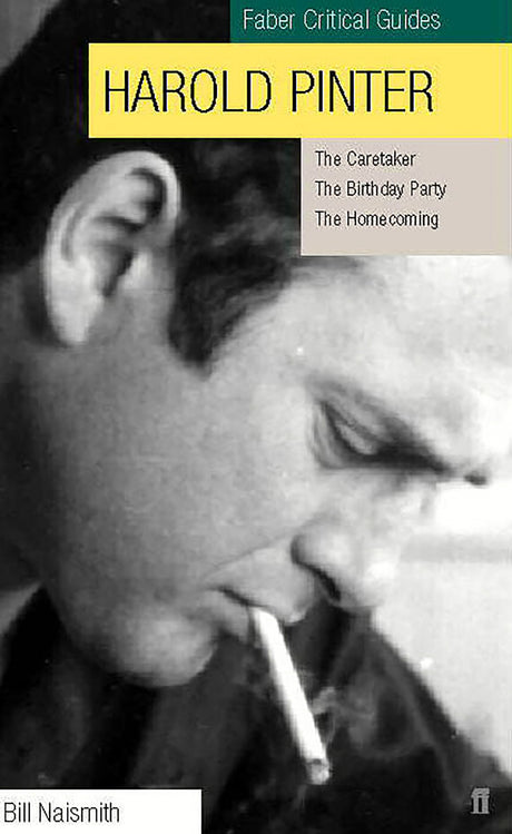 Harold Pinter: Faber Critical Guide - Retail Maharaj